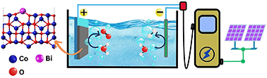 Graphical abstract: Improving the electrocatalytic activity of cobalt oxide with bismuth for acidic oxygen evolution reaction