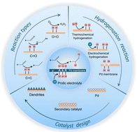 Graphical abstract: Progress and perspectives on electrocatalytic transmembrane hydrogenation