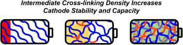 Graphical abstract: Cross-linking organic cathodes enhances stability at the expense of ionic accessibility