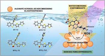 Graphical abstract: Alginate–oligothiophene aerogels as photocatalysts for the degradation of emerging organic contaminants in water