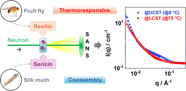 Graphical abstract: A controlled co-assembly approach to tune temperature responsiveness of biomimetic proteins
