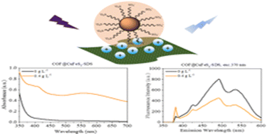 Graphical abstract: Electron transfer and energy exchange between a covalent organic framework and CuFeS2 nanoparticles