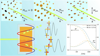 Graphical abstract: Hard magnetic colloidal nanoplates with tunable size for magneto-optical applications