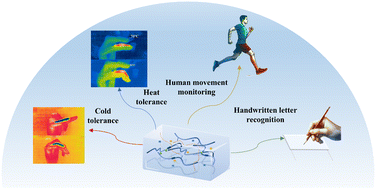 Graphical abstract: Enhanced high-strength, temperature-resistant PVA hydrogel sensors with silica/xanthan/glycerol for posture monitoring and handwriting recognition using deep learning