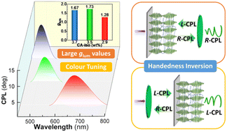 Graphical abstract: Circularly polarized luminescence with large dissymmetry factors based on perovskite and cholesteric liquid crystal polymer network films