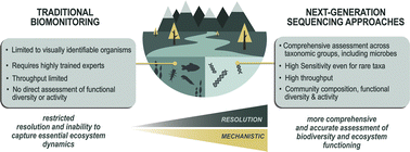 Graphical abstract: Solving freshwater conservation challenges through next-generation sequencing approaches