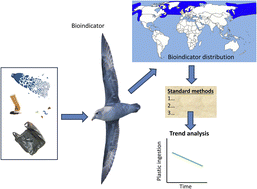 Graphical abstract: Monitoring plastic pollution using bioindicators: a global review and recommendations for marine environments