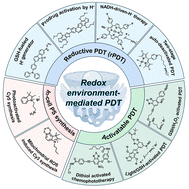 Graphical abstract: A new perspective on intracellular redox environment-mediated innovative photodynamic therapy