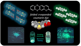 Graphical abstract: A folded mechanochromic organic fluorophore based on thianthrene-fused coumarin