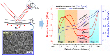 Graphical abstract: Operando quantification of diffusion-induced stresses in O3-type NaNi1/3Fe1/3Mn1/3O2 sodium-ion battery electrode during electrochemical cycling