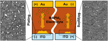 Graphical abstract: Electrolytic gold plating, stripping, and ion transport dynamics through a solid-state iodide perovskite