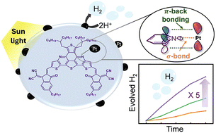 Graphical abstract: Redefining molecular design and exciton dynamics in single-component organic photocatalysts for efficient solar-to-hydrogen conversion