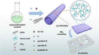 Graphical abstract: Tannic acid-mediated surface engineering of CNTs for enhanced bifunctional oxygen electrocatalysis
