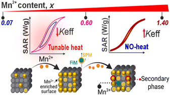 Graphical abstract: Unraveling the Mn2+ substitution effect on the anisotropy control and magnetic hyperthermia of MnxFe3−xO4 nanoparticles