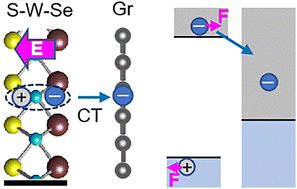 Graphical abstract: Photodoping of graphene with long-lived electrons by interfacing with Janus WSSe