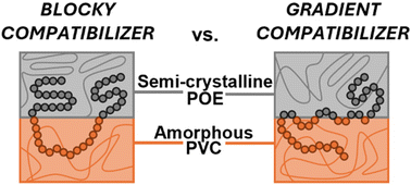 Graphical abstract: Correlating chlorinated polyethylene molecular structure to compatibilization efficiency for mixed polymer waste