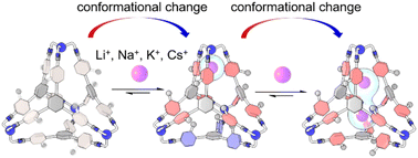 Graphical abstract: A conformationally adaptable tetrahedral cage with different guest encapsulation models