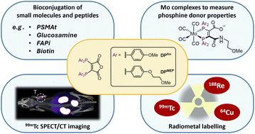 Graphical abstract: Maleic anhydride derived diphosphines: adaptable chelators for receptor-targeted 99mTc, 64Cu and 188Re radiotracers