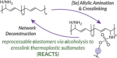 Graphical abstract: Crosslinking 1,4-polybutadiene via allylic amination: a new strategy for deconstructable rubbers