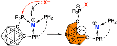 Graphical abstract: Non-spectator behavior of a neutral phosphine ligand driven by a redox-active boron cluster