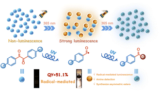 Graphical abstract: Photo-generated radical mediated molecular luminescence enhancement
