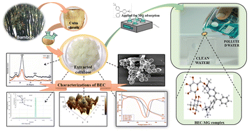 Graphical abstract: Sustainable removal of malachite green using cellulose extracted from waste bamboo culm sheath
