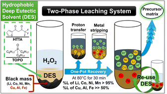 Graphical abstract: Selective separation of critical metals from lithium-ion batteries in a two-phase leaching system based on a hydrophobic deep eutectic solvent and H2O2 solution