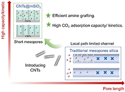 Graphical abstract: Amine-functionalized CNTs@mSiO2 with short radical mesochannels for fast and efficient CO2 capture