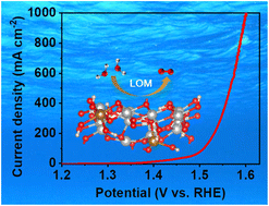 Graphical abstract: Lattice oxygen activation through reconstruction of transition metal fluoride for efficient ampere-level current density oxygen evolution