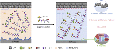 Graphical abstract: Fluorinated DOL-based copolymer electrolytes enabling wide electrochemical window and stabilized interphases for lithium batteries