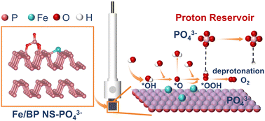 Graphical abstract: Iron-anchored black phosphorus with a phosphate proton reservoir for industrial-current-density water oxidation