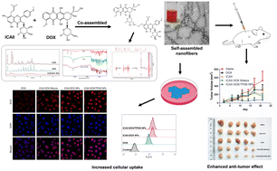 Graphical abstract: Co-delivery of icariside II and doxorubicin by self-assembled carrier-free nanofibers for anti-lung cancer therapy