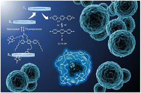 Graphical abstract: A biotin-conjugated highly stable cationic viologen derivative for live-cell imaging
