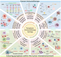 Graphical abstract: Overcoming cancer immunotherapy barriers via nanomaterial-mediated pyroptosis