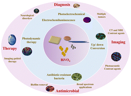 Graphical abstract: Emerging bismuth vanadate-based biosensor platforms for diagnostic, imaging, therapeutic and antibacterial applications