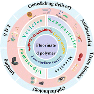 Graphical abstract: Fluorinated polymer self-assembled nanomaterials: advances and biomedical applications