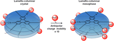 Graphical abstract: Self-assembly and ambipolar charge transport in columnar phases of polynuclear gold isocyano–triphenylene complexes