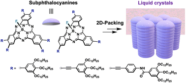 Graphical abstract: Tuning the liquid crystal behavior of subphthalocyanines: effects of substitution, chirality, and hydrogen bonding