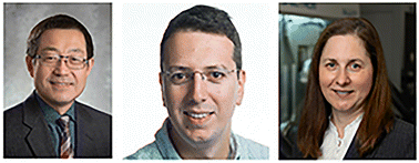 Graphical abstract: Transport in organic and hybrid semiconductors