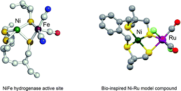 Graphical abstract: Modelling NiFe hydrogenases: nickel-based electrocatalysts for hydrogen production