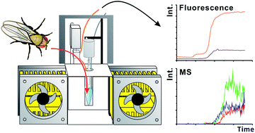 Graphical abstract: Automated system for extraction and instantaneous analysis of millimeter-sized samples