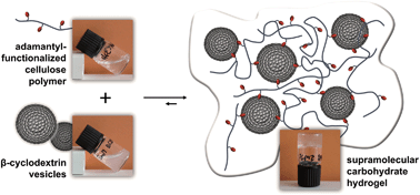 Graphical abstract: A carbohydrate-based hydrogel containing vesicles as responsive non-covalent cross-linkers