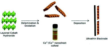 Graphical abstract: Electrochemical performance of cobalt hydroxide nanosheets formed by the delamination of layered cobalt hydroxide in water