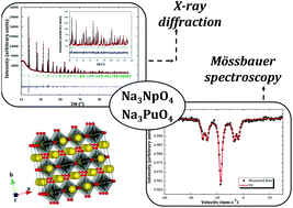 Graphical abstract: Structural investigation of Na3NpO4 and Na3PuO4 using X-ray diffraction and 237Np Mössbauer spectroscopy