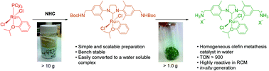 Graphical abstract: A simple and practical preparation of an efficient water soluble olefin metathesis catalyst