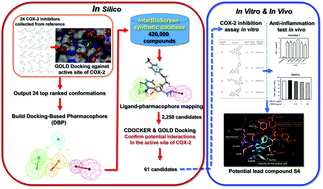 Graphical abstract: Discovery of a potent cyclooxygenase-2 inhibitor, S4, through docking-based pharmacophore screening, in vivo and in vitro estimations
