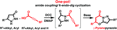 Graphical abstract: A rare γ-pyranopyrazole skeleton: design, one-pot synthesis and computational study