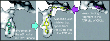 Graphical abstract: Specific inhibition of CK2α from an anchor outside the active site
