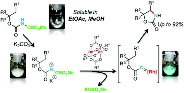 Graphical abstract: Synthesis of oxazolidinones: rhodium-catalyzed C–H amination of N-mesyloxycarbamates