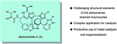 Graphical abstract: Total synthesis of diazonamide A